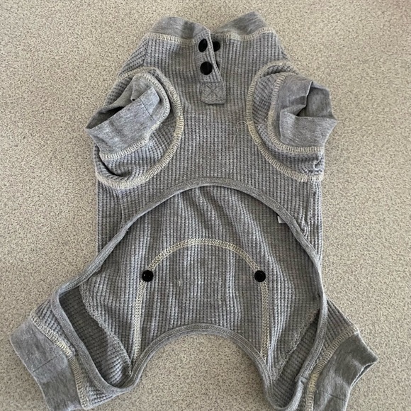 Dog pjs - Picture 2 of 2